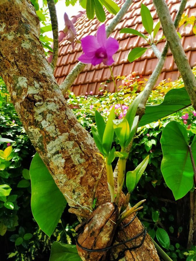 Hotel The Jiwana Bali